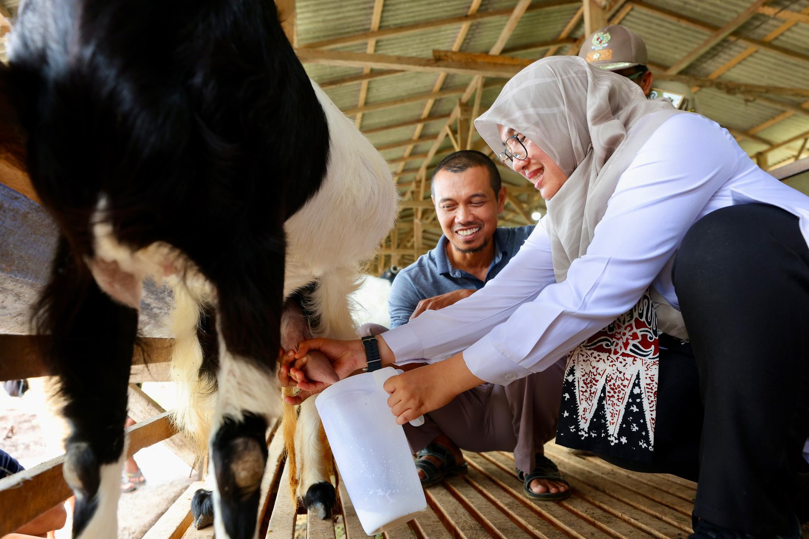 Peternakan Kambing Perah di Banyuwandi Bisa Jadi Inspirasi Anak Muda