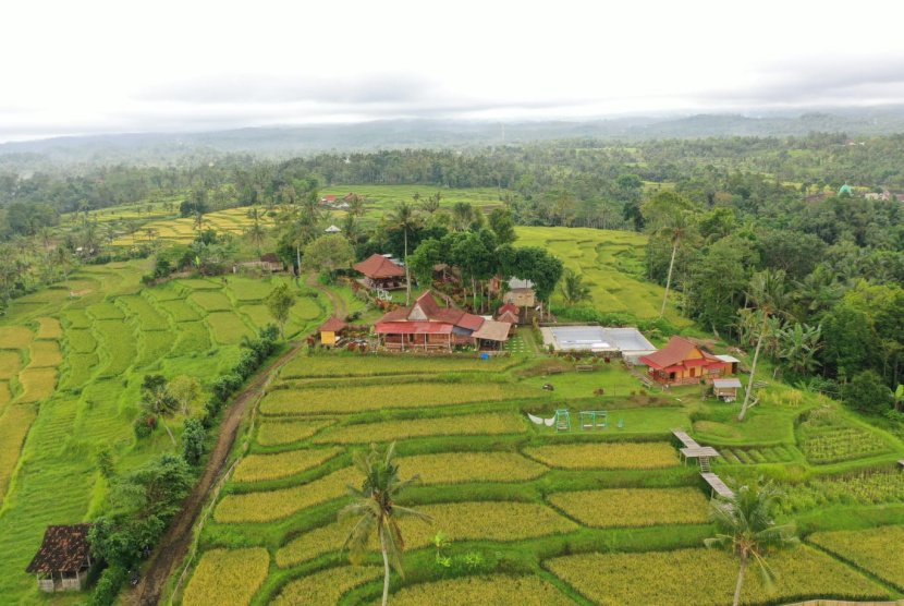 Wisata Eksotis Banyuwangi Dengan Pemandangan Perbukitan 