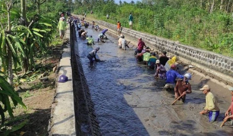 Penerapan Pola RTTG Bermanfaat untuk Petani Banyuwangi