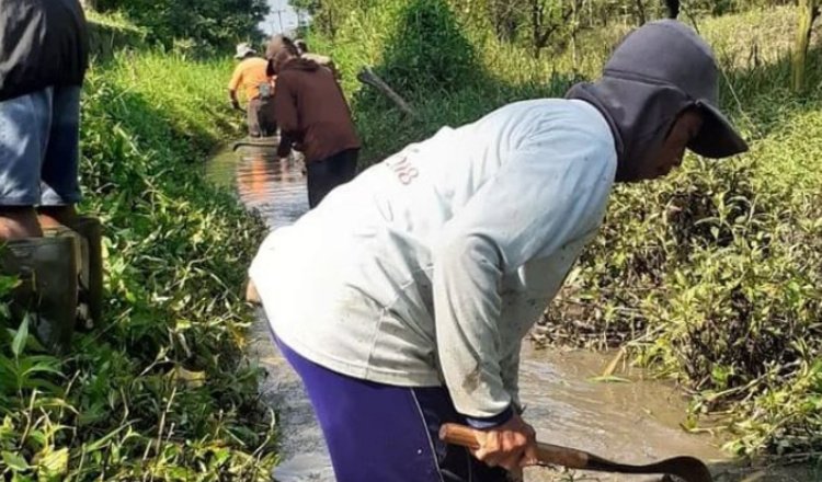 Kegiatan Rutin, DPU Pengairan Banyuwangi Gencar Lakukan Pembersihan Sedimentasi