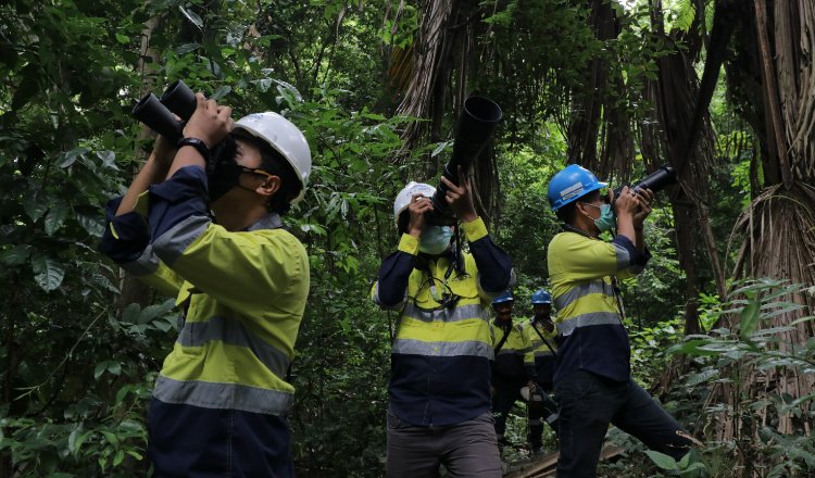 Konservasi Keanekaragaman Hayati, Langkah Preventif PT BSI di Area Tambang Emas